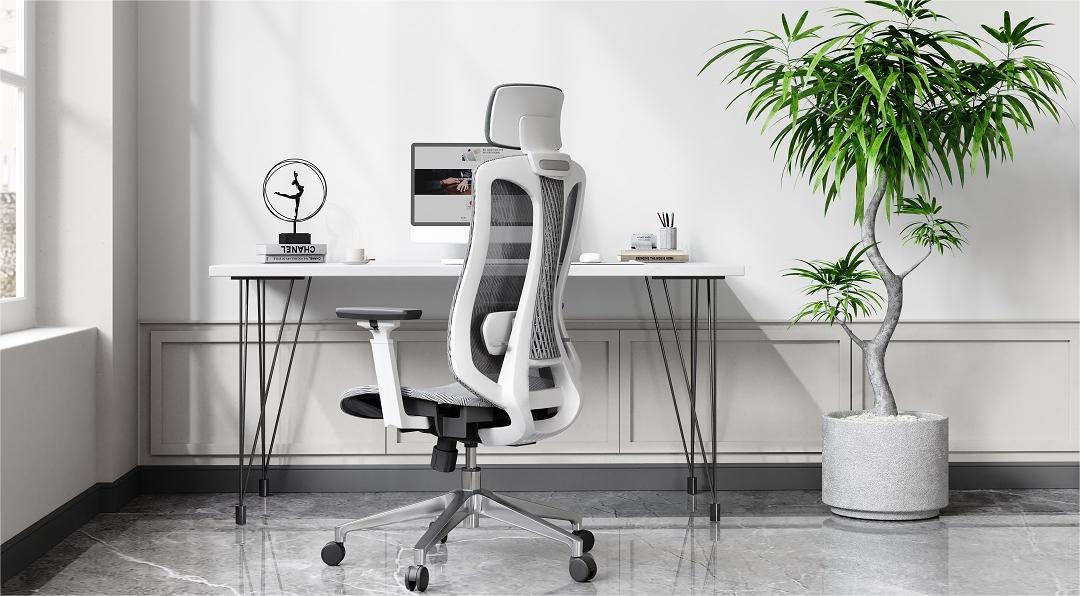 the logicfox ergonomic chair pro in front of the home desk chair, with a plant beside