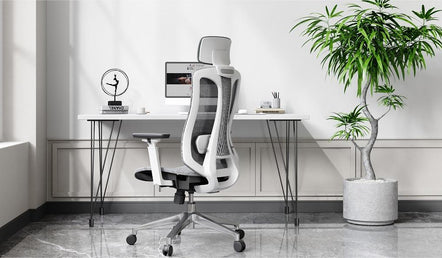 The Best Home Office Chair: The Ultimate Guide to Comfort, Productivity, and Health