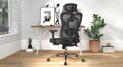 an image of a black ergonomic office chair with mesh back and a sponge cushion, with a standing desk and some green plants