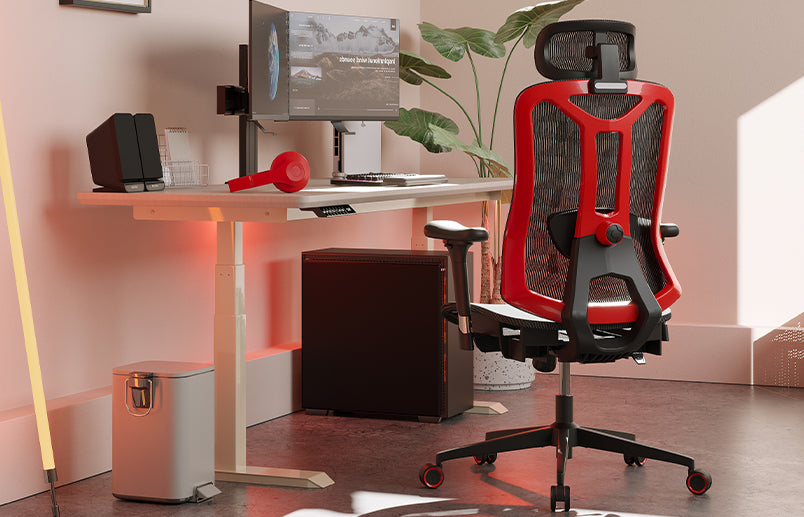 Fradiett Ergonomic Chair Nova