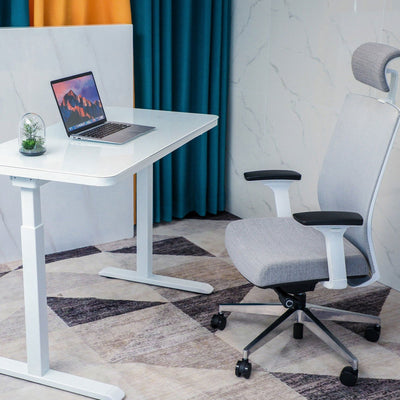 Logicfox Electric Smart Standing Desk