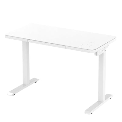 Logicfox Electric Smart Standing Desk