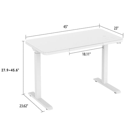 Logicfox Electric Smart Standing Desk